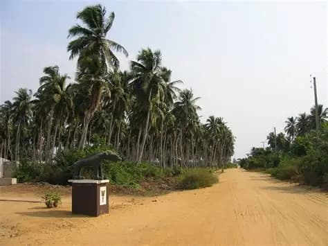 La Route des esclaves à Ouidah, photo 3