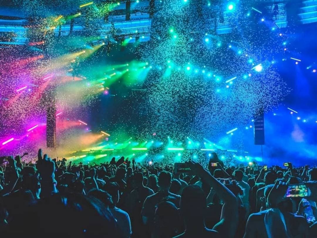Afrobeat Summer, photo 2